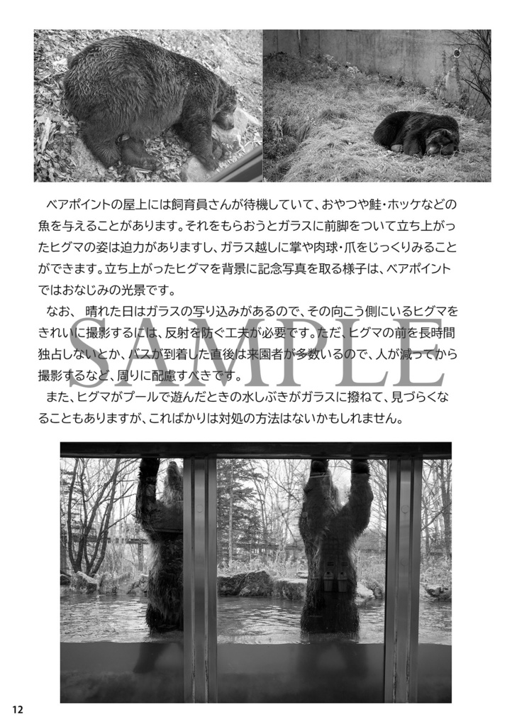 熊小屋通信8「ベア・マウンテンの歩き方」