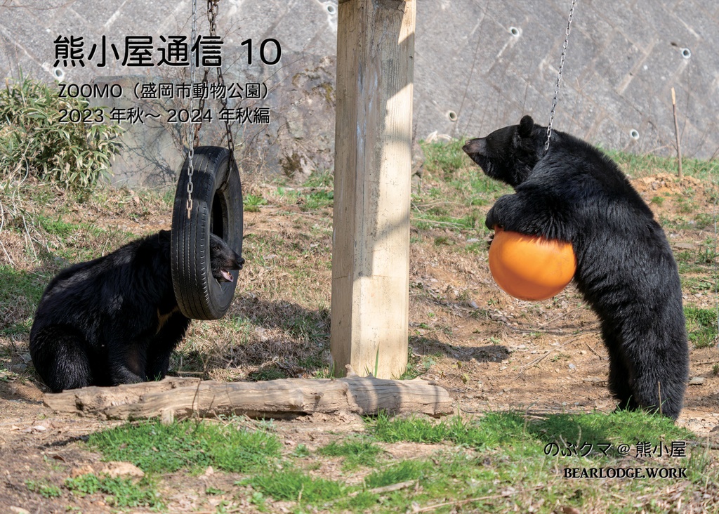 熊小屋通信１０　ZOOMO 2023年秋～2024年秋編