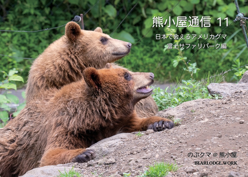 熊小屋通信１１「日本で会えるアメリカグマ～富士サファリパーク編」