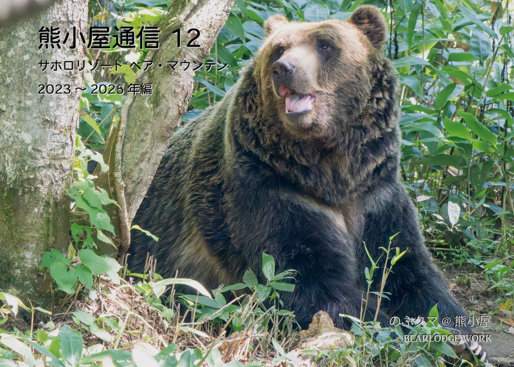 熊小屋通信１２「ベア・マウンテン～2023-2025年編」