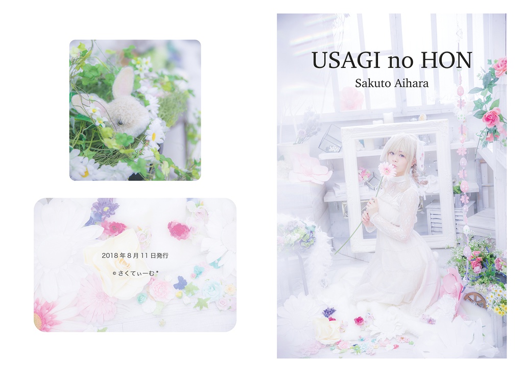 USAGI no HON