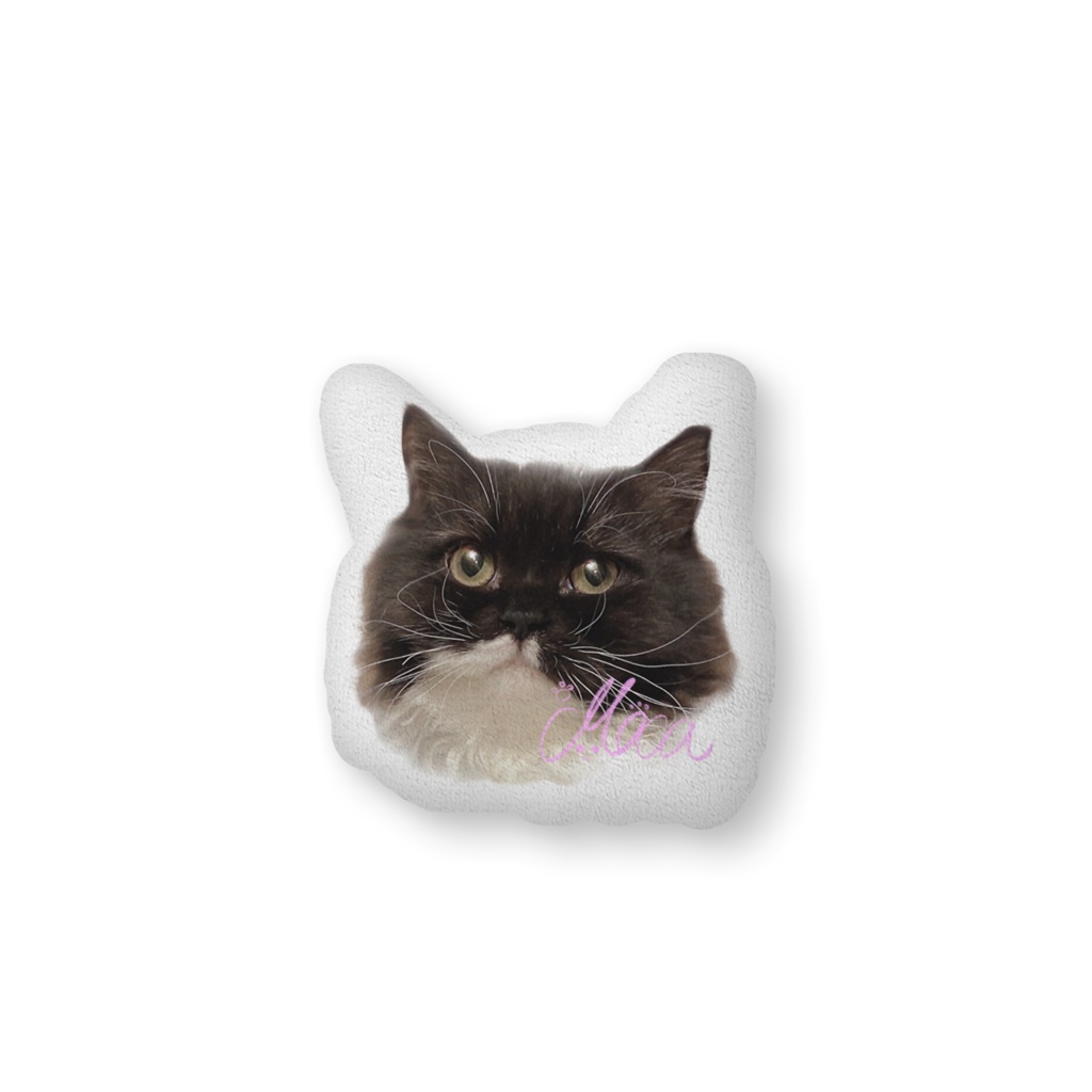 ふかふかねこちまんにゃんはんにゃんぱんちゃんちゃーはんセット(むくもかふかふかクッション)