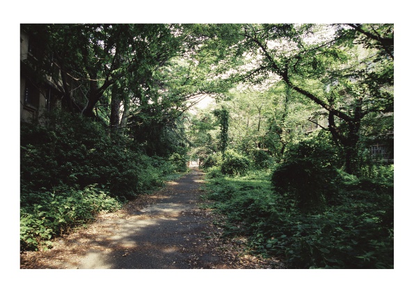 2001年の夏休み 東京大学駒場寮写真集