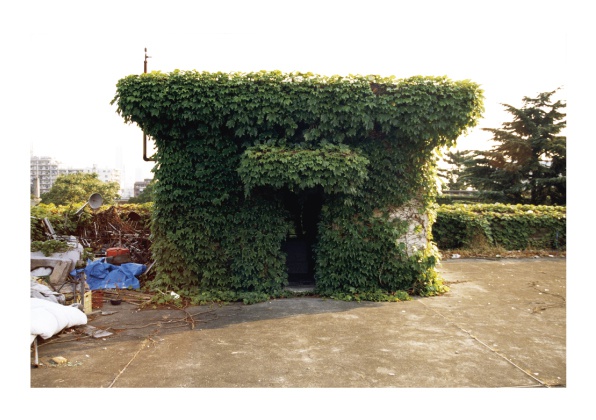 2001年の夏休み 東京大学駒場寮写真集