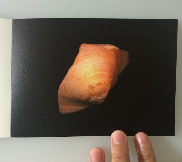 【BCCKSで注文可能】UNIVERSE