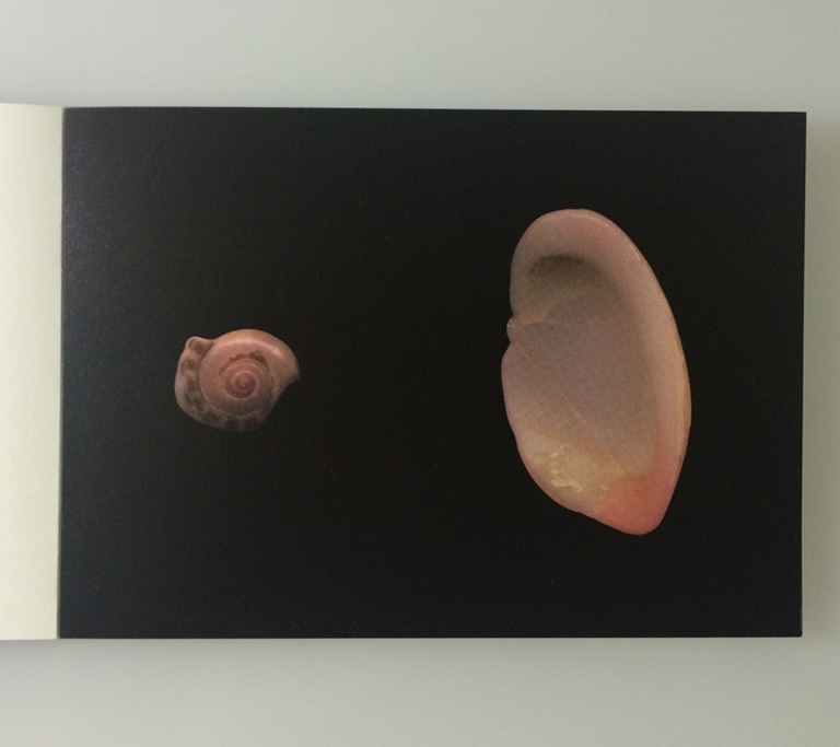 【BCCKSで注文可能】UNIVERSE