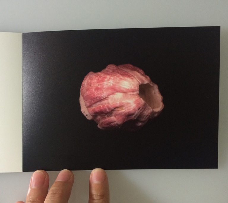 【BCCKSで注文可能】UNIVERSE