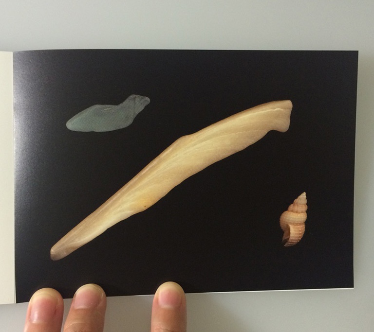 【BCCKSで注文可能】UNIVERSE