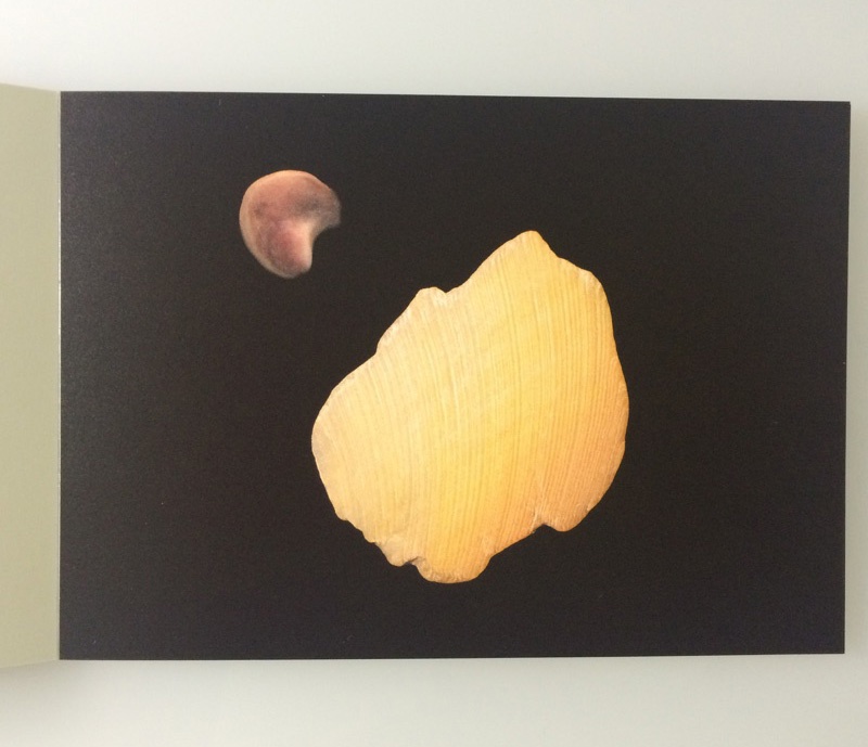 【BCCKSで注文可能】UNIVERSE