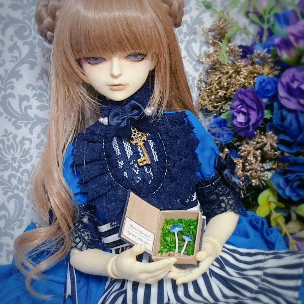 キノコ図鑑