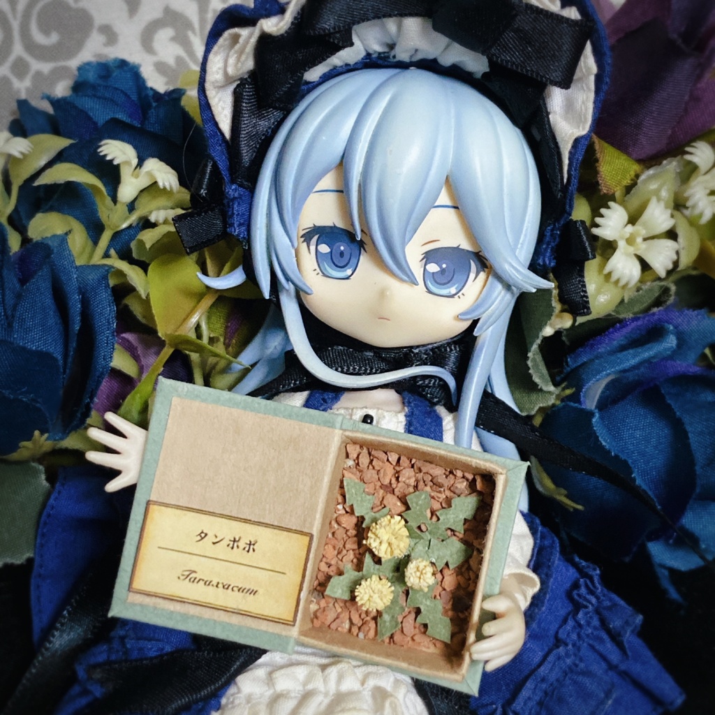 植物図鑑　タンポポ