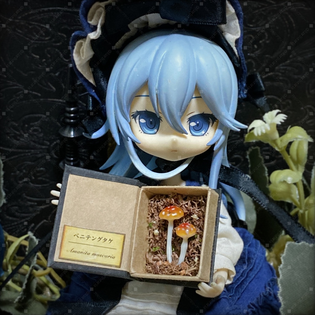 キノコ図鑑　ベニテングタケ