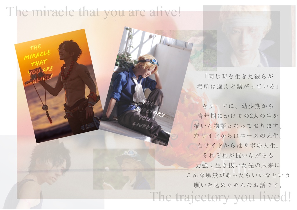 エース&サボ写真集