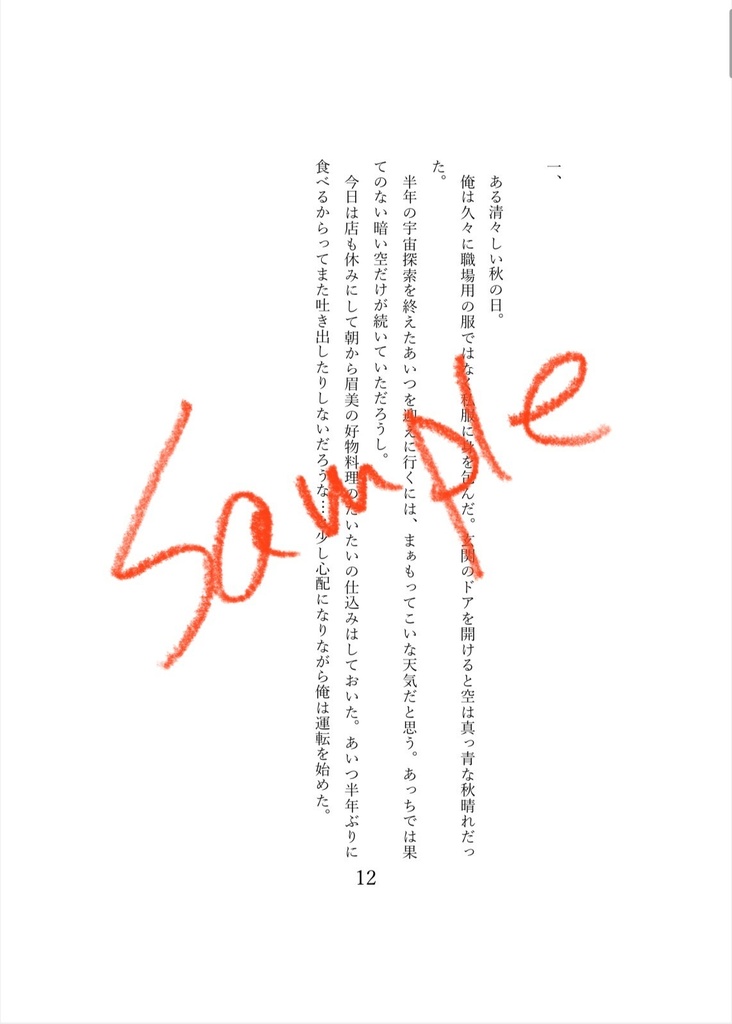 超イシンのセカイ 2025 美少年探偵団非公式ファンブック 袋井満×瞳島眉美『眉が晴れて 心は満ちる』