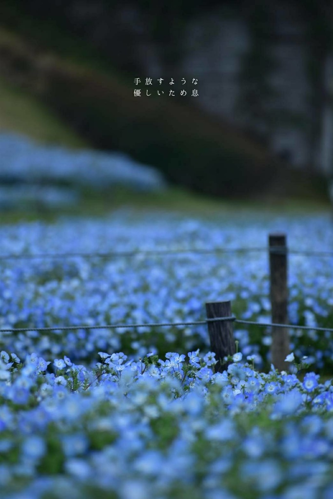 「手放すような 優しいため息」メガネ拭き