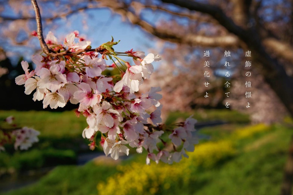 虚飾の春/サコッシュ