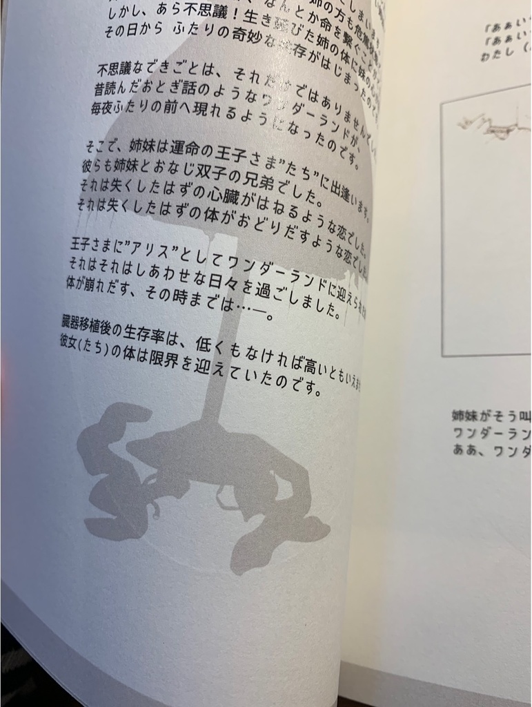 【通常版】「Alice‘s Casket」図録