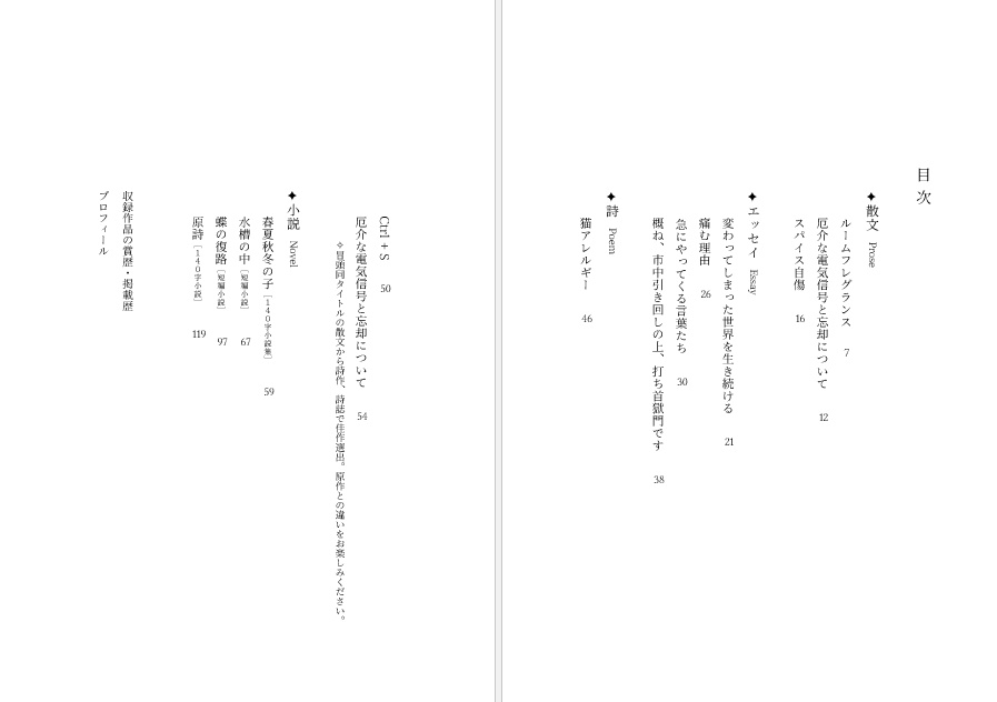 【予約】私家版「余光」(第二版)