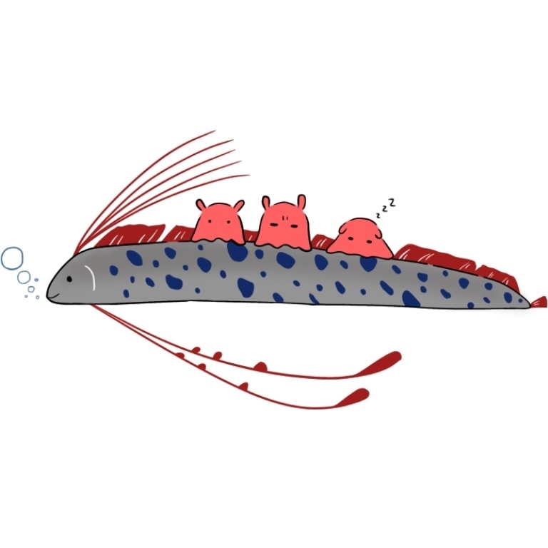 サコッシュ(リュウグウノツカイ×メンダコ)