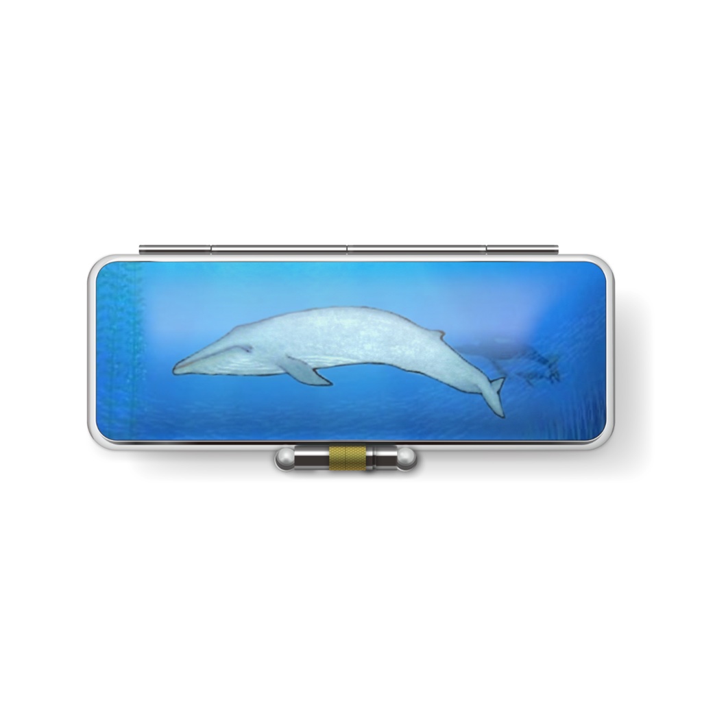 シロナガスクジラ