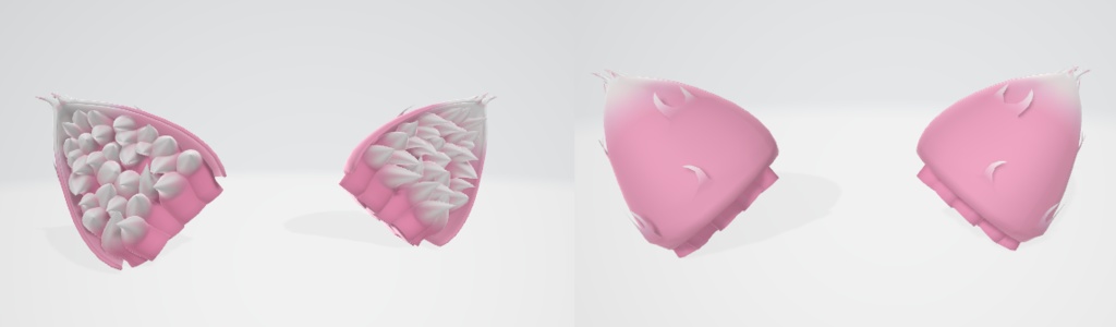 Mini's Pink 