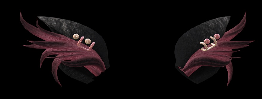 Fiesty kitty set