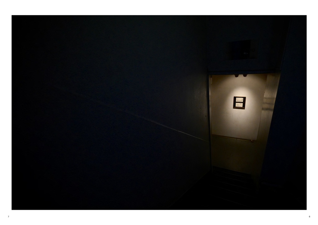 奥野智萌個展「記憶からあとずさり」記録冊子