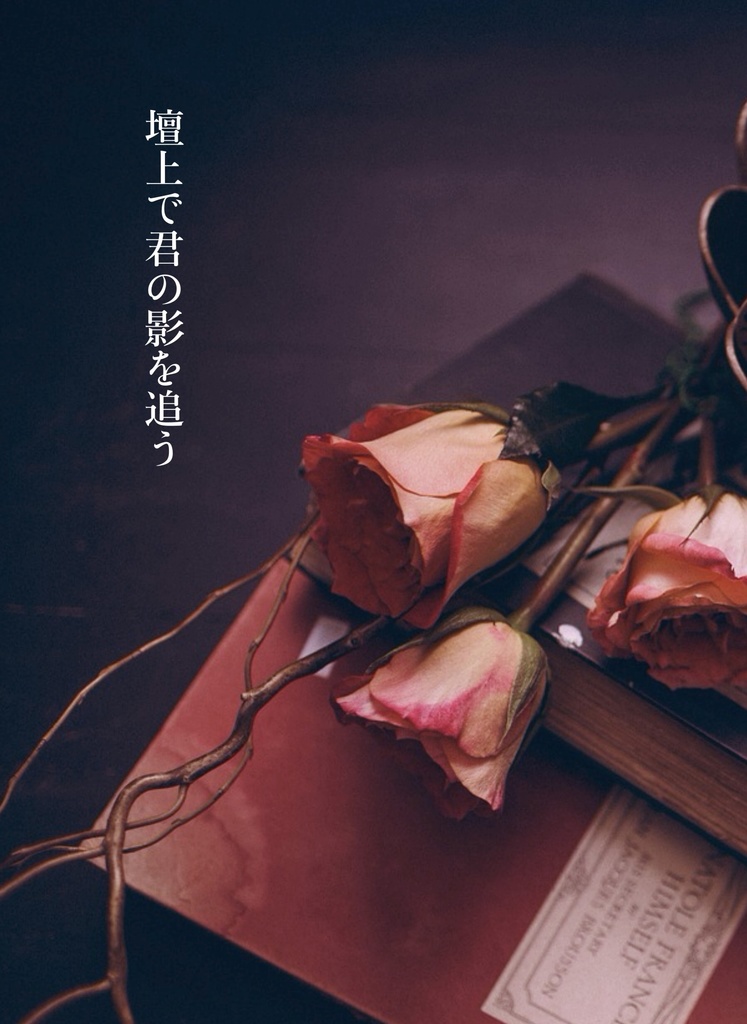 壇上で君の影を追う