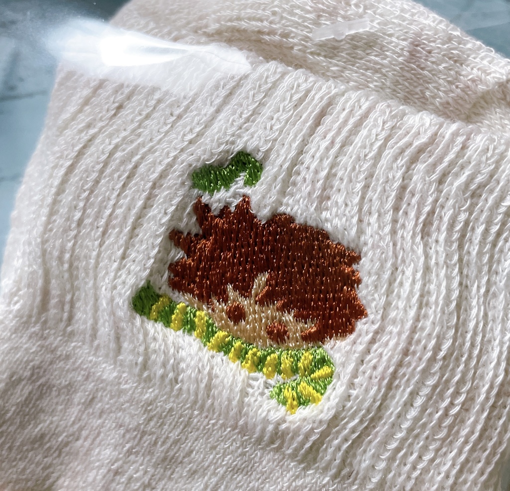 波紋戦士刺繍靴下