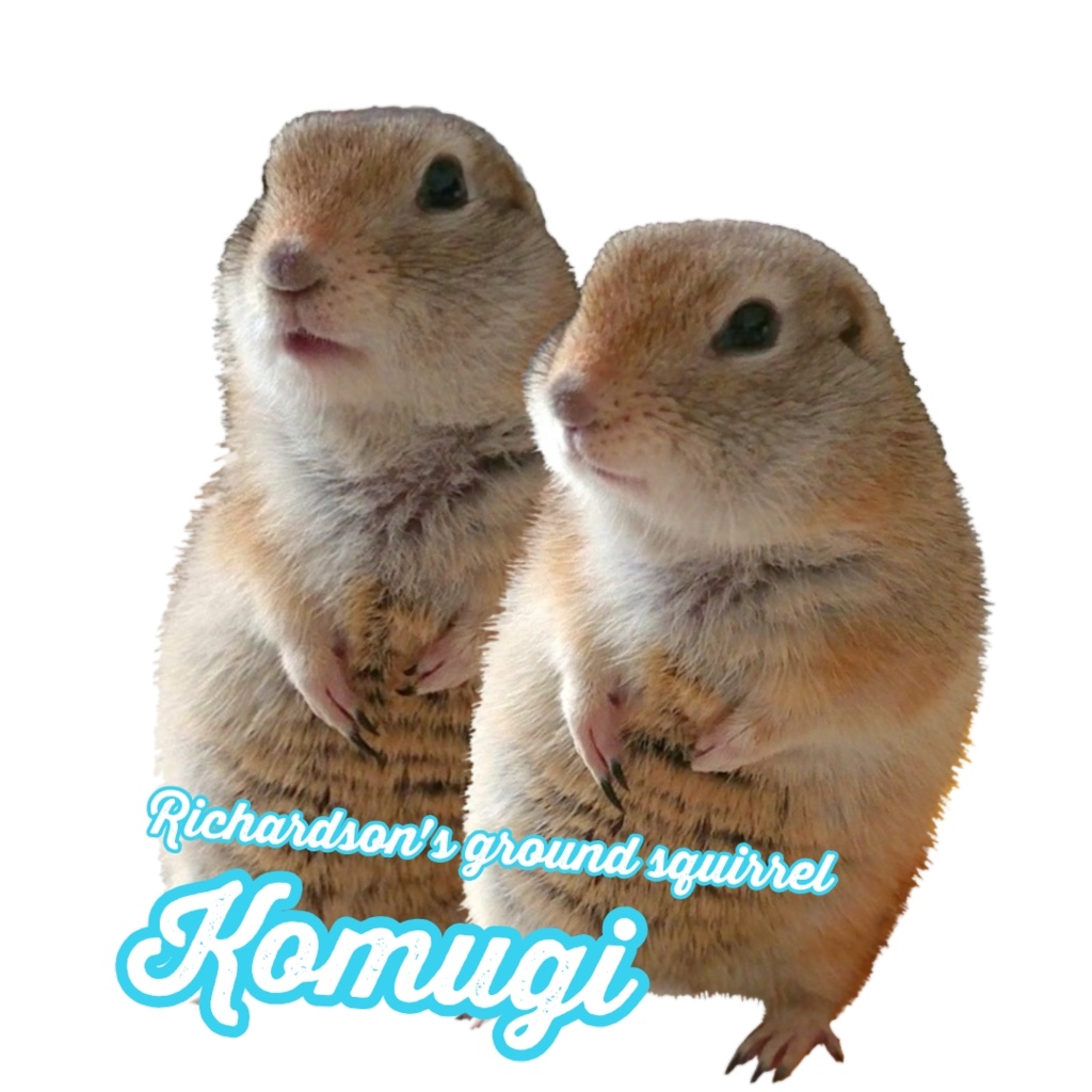 リチャードソンジリスのアクリルキーホルダー