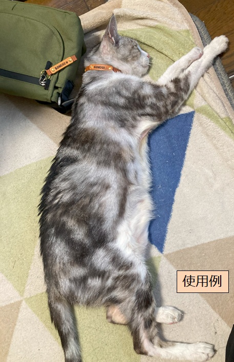 猫の首輪&キーホルダー