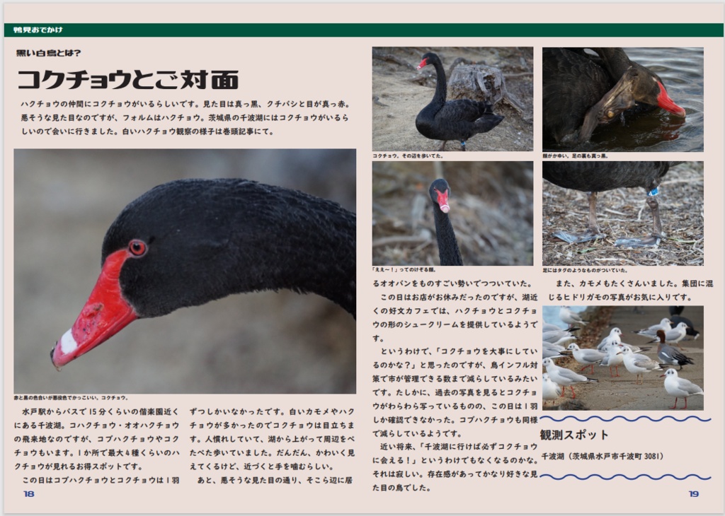 鴨見紀行(電子版)