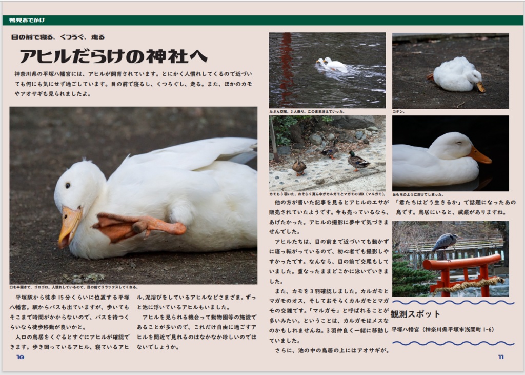 鴨見紀行(郵送版)