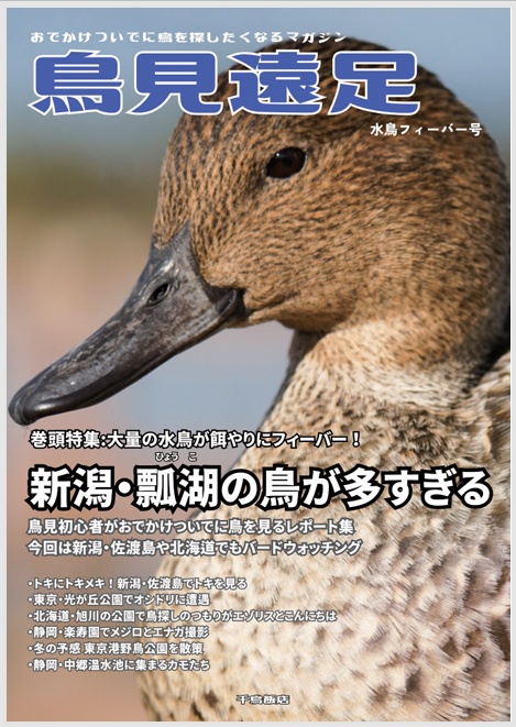 鳥見遠足　水鳥フィーバー号