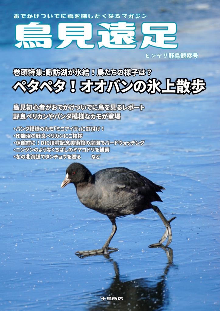 鳥見遠足：ヒンヤリ野鳥観察号(郵送)