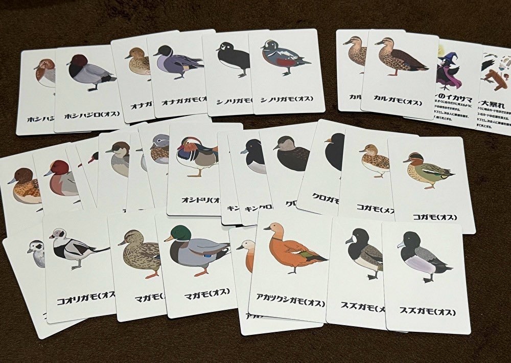 カモのカードゲーム「これカモ?」(郵送)