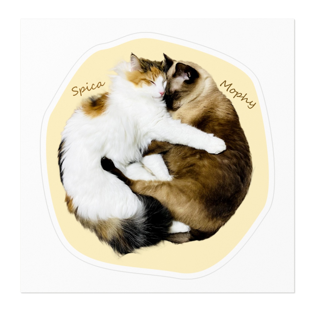 ネコチャンまんまるすやすやステッカー