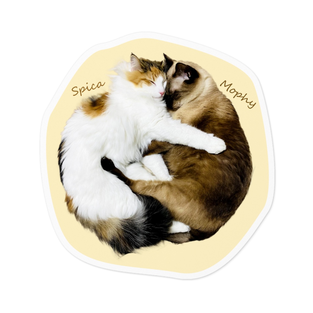 ネコチャンまんまるすやすやステッカー