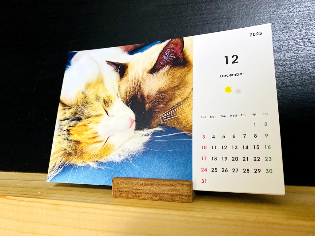 どうぶつ基金に募金できる2023年卓上猫カレンダー