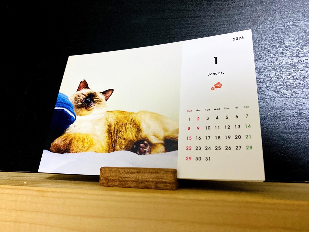 どうぶつ基金に募金できる2023年卓上猫カレンダー