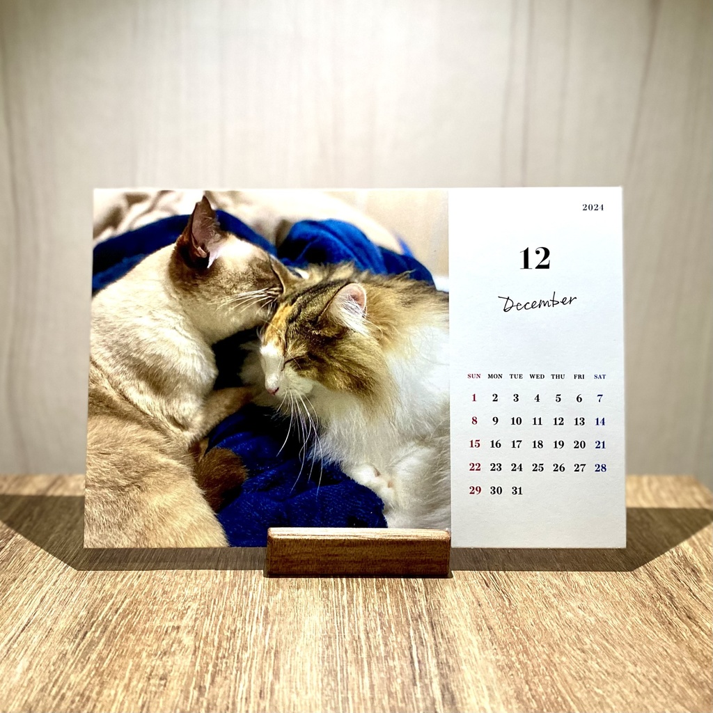 どうぶつ基金に募金できる2024年卓上猫カレンダー