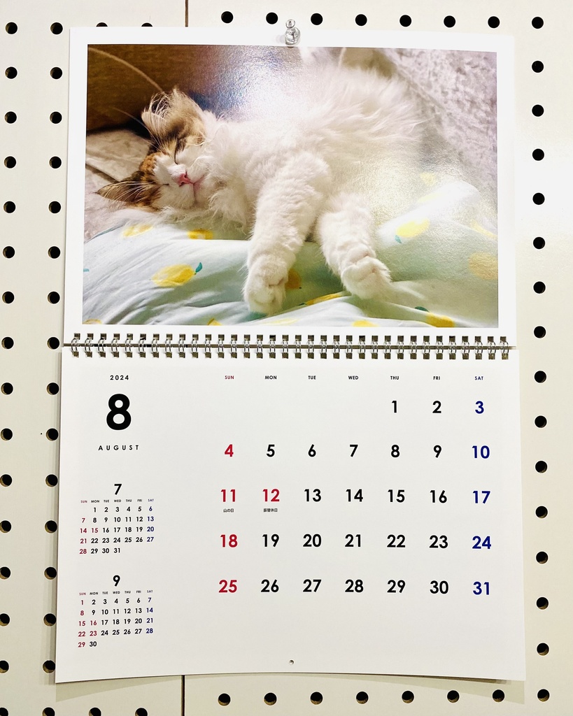 どうぶつ基金に募金できる2024年壁掛け猫カレンダー