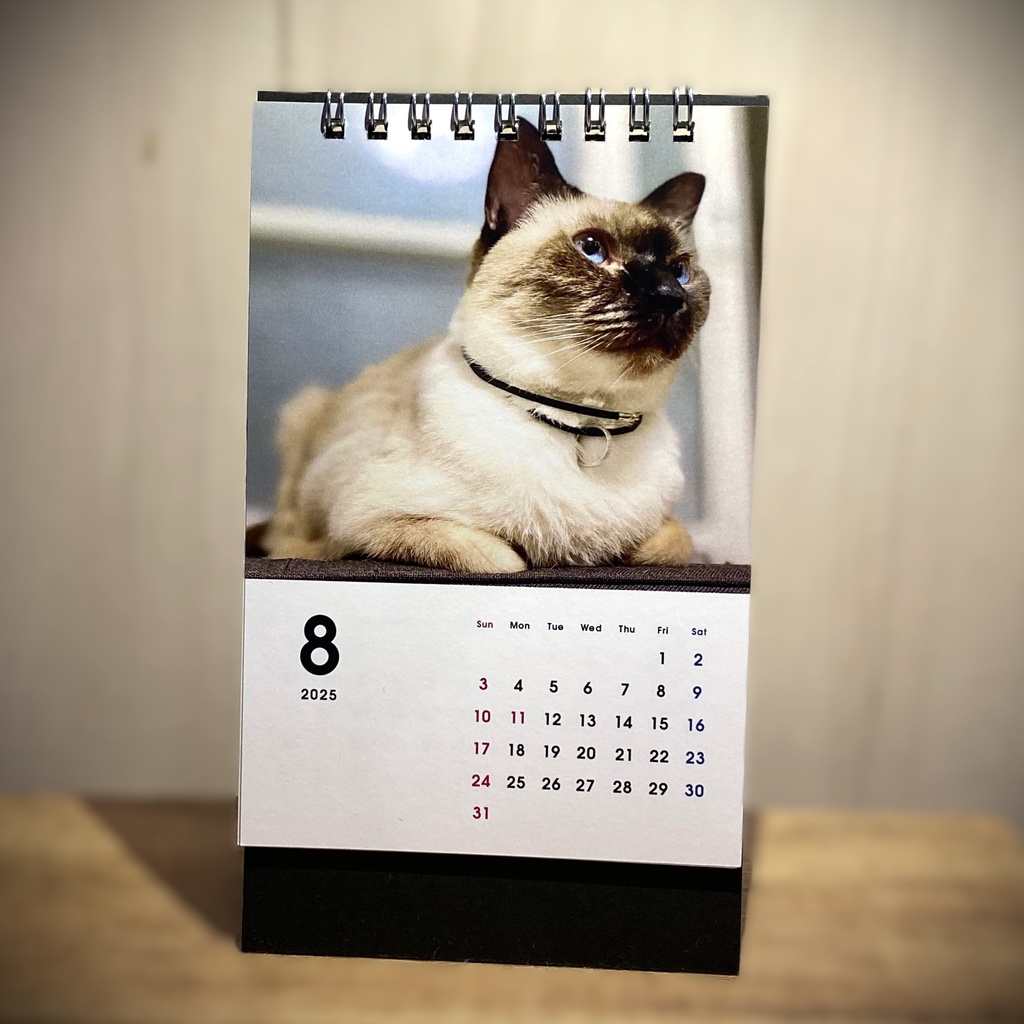 どうぶつ基金に募金できる2025年卓上猫カレンダー