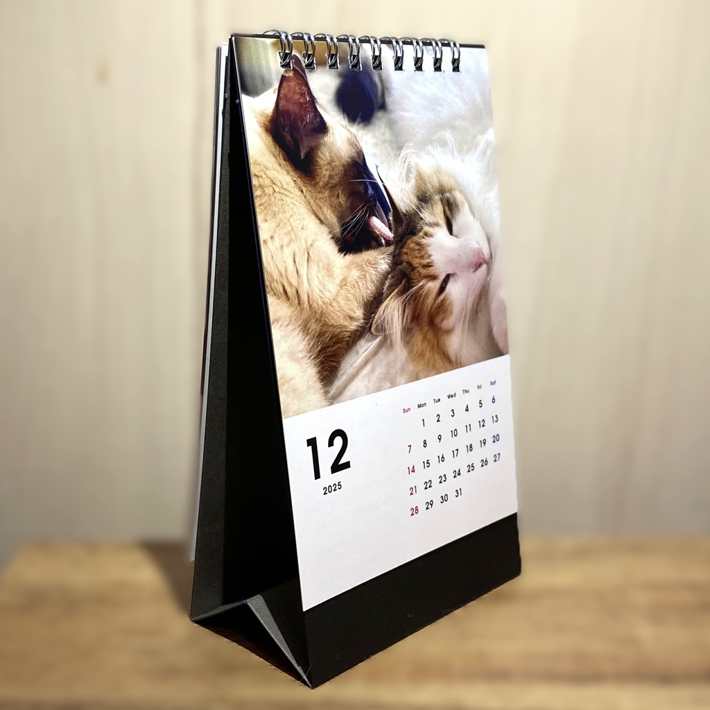 どうぶつ基金に募金できる2025年卓上猫カレンダー