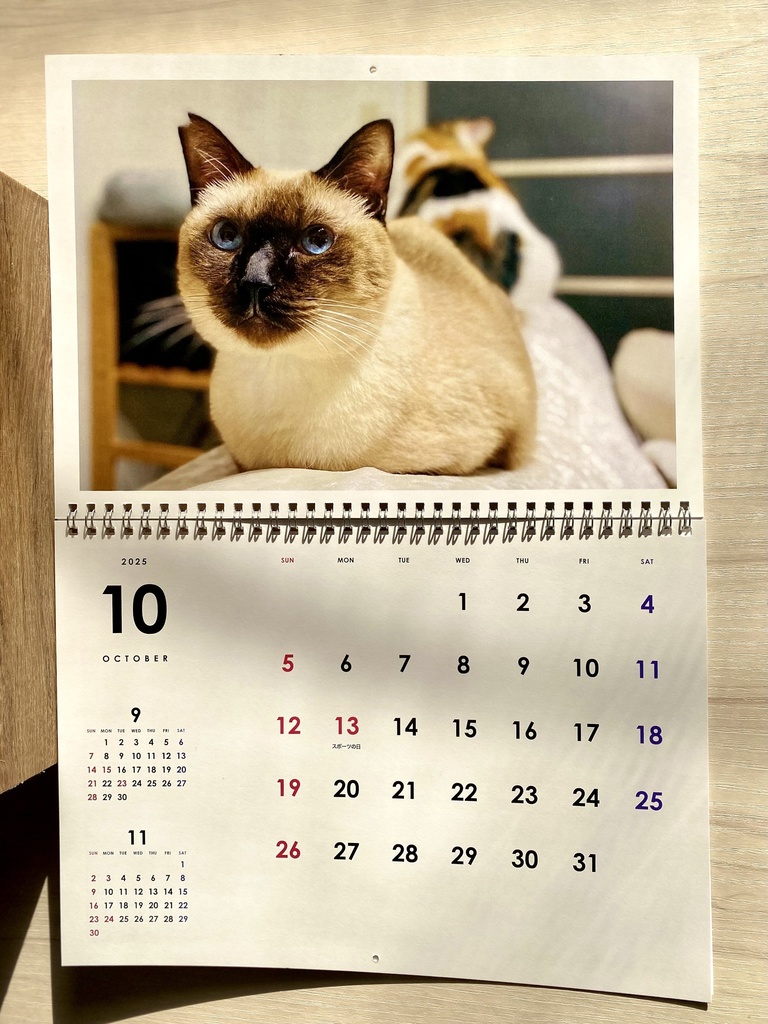 どうぶつ基金に募金できる2025年壁掛け猫カレンダー