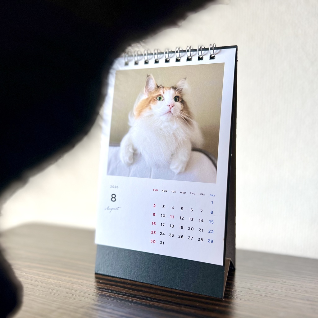 どうぶつ基金に募金できる2026年卓上猫カレンダー