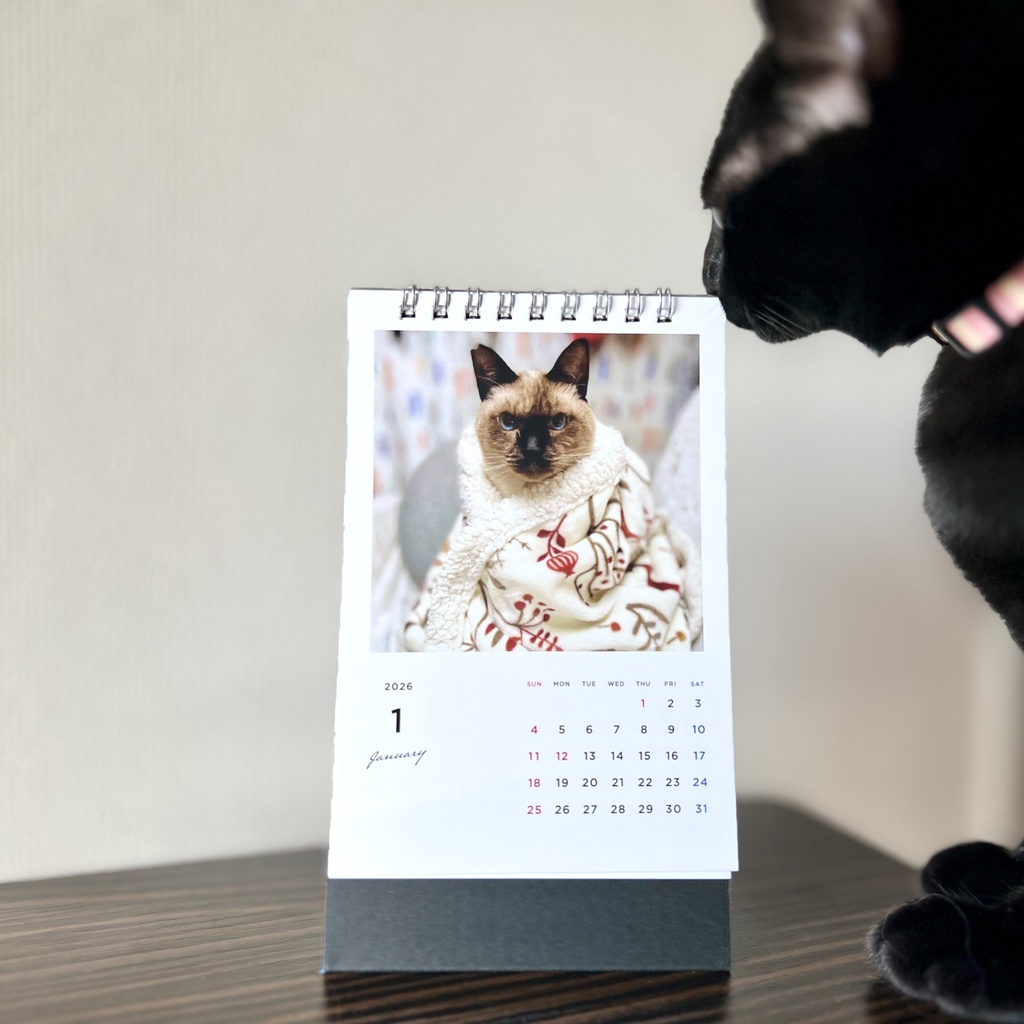 どうぶつ基金に募金できる2026年卓上猫カレンダー