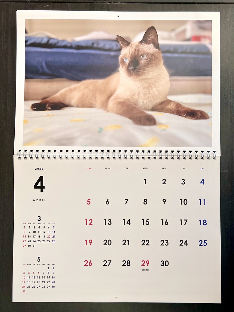どうぶつ基金に募金できる2026年壁掛け猫カレンダー