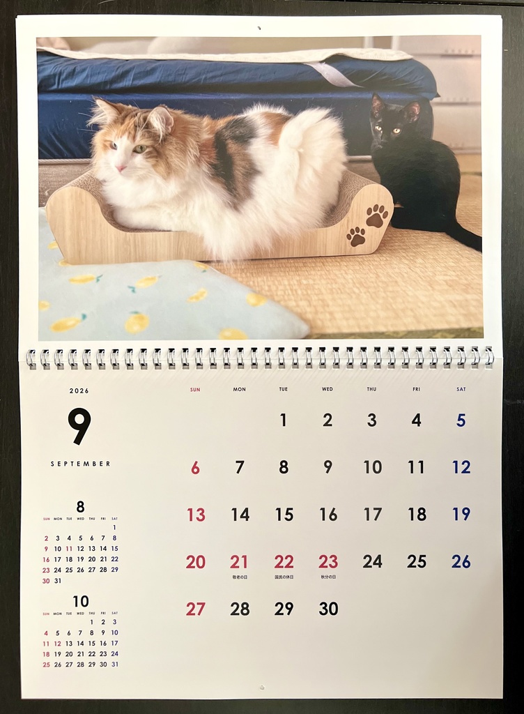 どうぶつ基金に募金できる2026年壁掛け猫カレンダー
