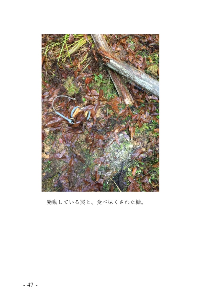 だいふく狩り日記【PDF版】